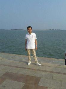 新骄阳资料,引领行业变革的先锋力量