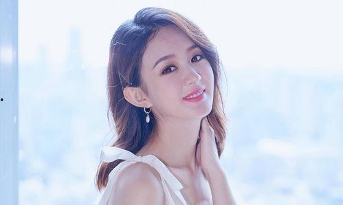 赵丽颖背景关系